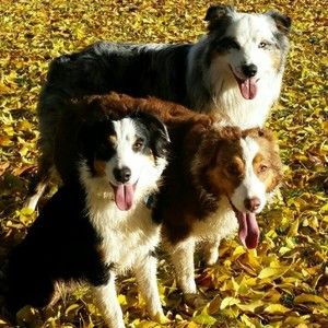 Meet your Posher, Justin-mandy